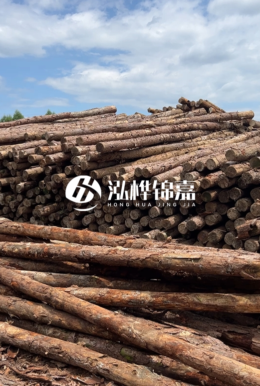 松木打樁木的價(jià)格波動(dòng)受哪些因素影響？杉木樁能代替松木樁嗎？