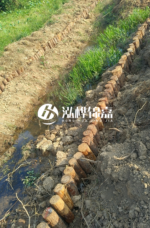 湖南松木樁批發(fā)廠(chǎng)家直銷(xiāo)-松木樁做碳化多少錢(qián)一根？