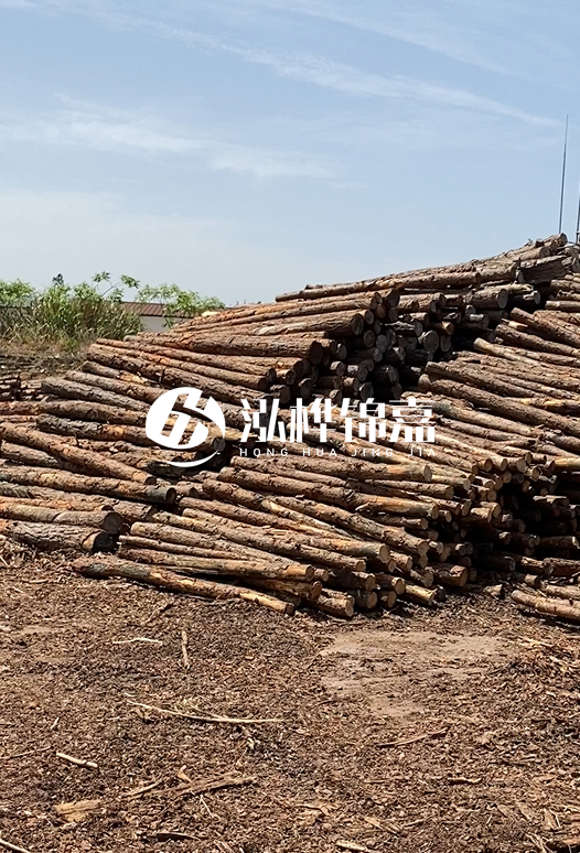 3.5米松木樁單價(jià)含稅怎么計算？碳化處理成本增加多少？