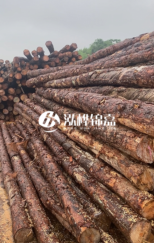 購買(mǎi)松木樁注意事項有哪些-不同直徑松木樁區別有哪些？