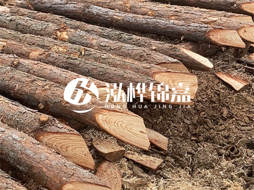 松木樁削尖的費用怎么算？按根收費還是包含在單價(jià)里？