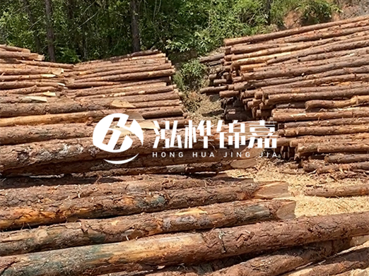 松木樁的運輸費用是否包含卸車(chē)費？卸貨時(shí)需要注意哪些安全問(wèn)題？