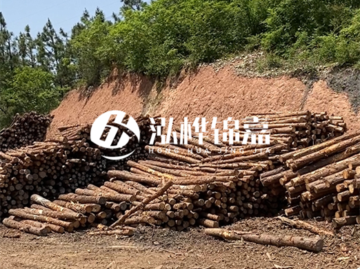 油松打樁木和落葉松打樁木的價(jià)格差異是多少？哪個(gè)性?xún)r(jià)比更高？