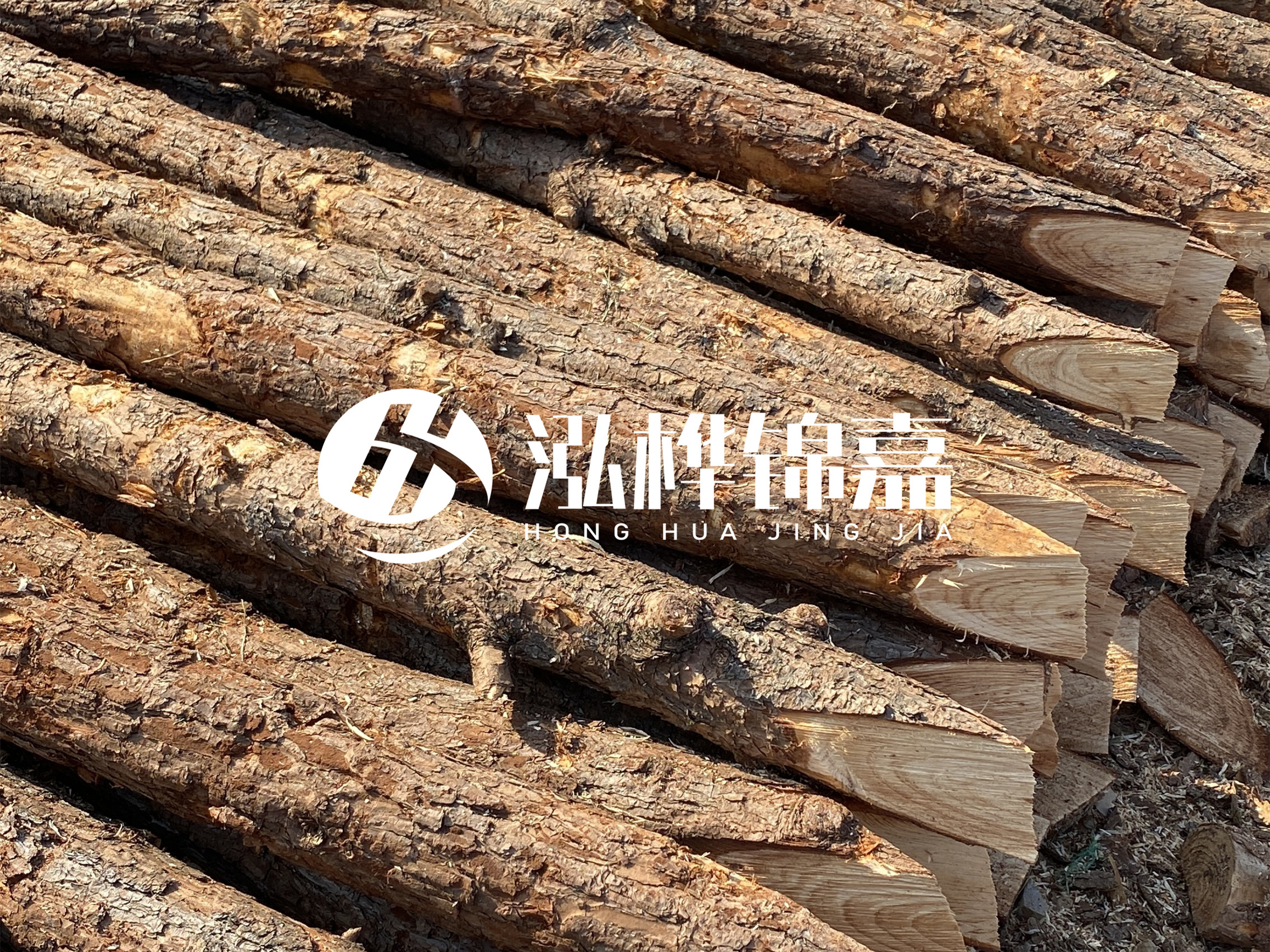 8 米超大直徑松木樁的價(jià)格是多少？帶皮和去皮松木樁價(jià)格差多少？