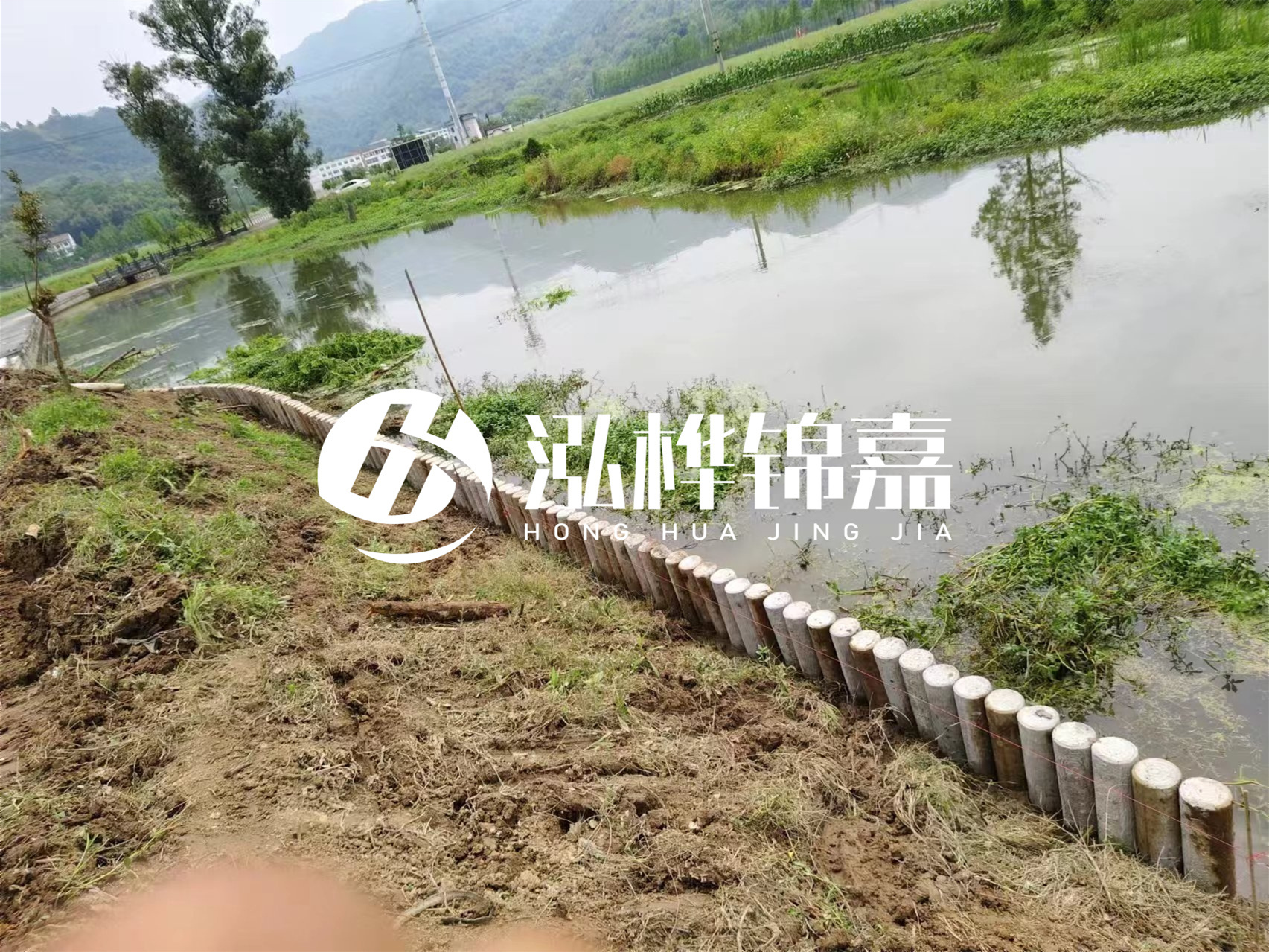 松木樁加固河道與水泥樁對比如何？哪一種更加適合您？