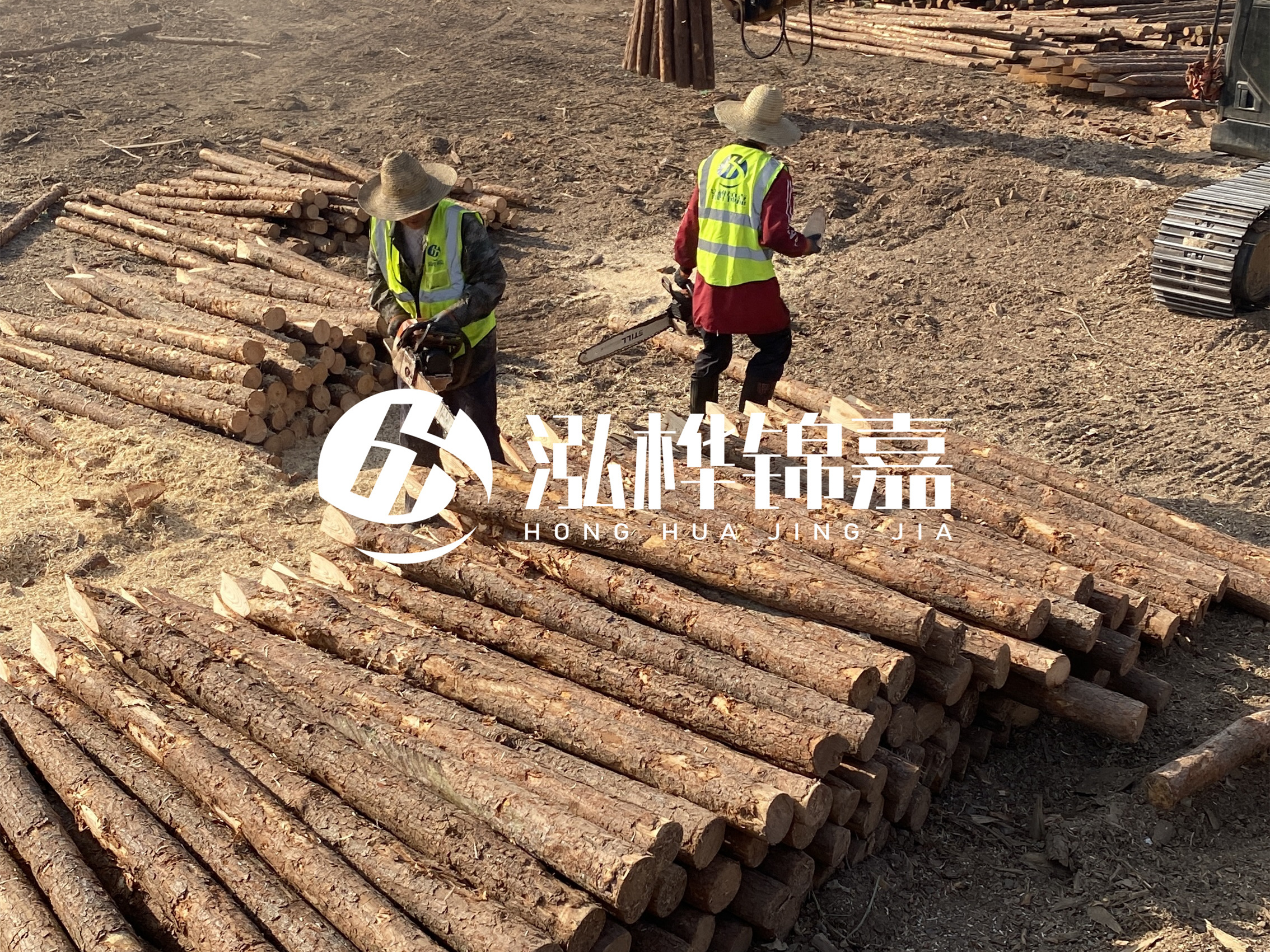 河道木樁報價(jià)在汛期前后會(huì )有波動(dòng)嗎？什么時(shí)候買(mǎi)最便宜？