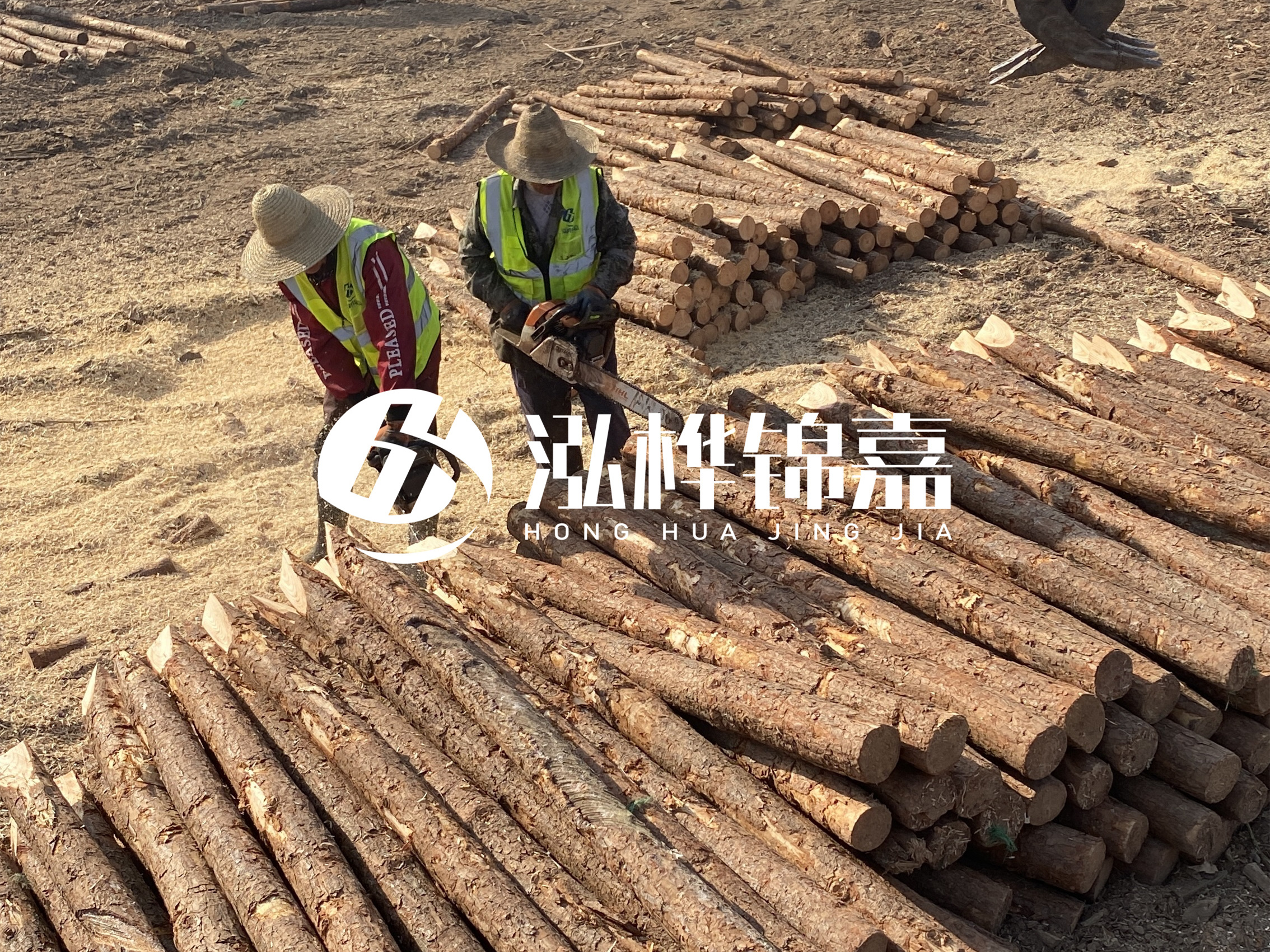 河北打樁木廠(chǎng)家主要生產(chǎn)哪些材質(zhì)的打樁木？產(chǎn)品有哪些規格？