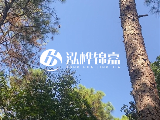 松木樁廠(chǎng)家泓樺錦嘉可以實(shí)地考察嗎？需要提前預約嗎？