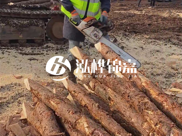 松木樁河道護坡怎么施工？打樁多少錢(qián)一根？