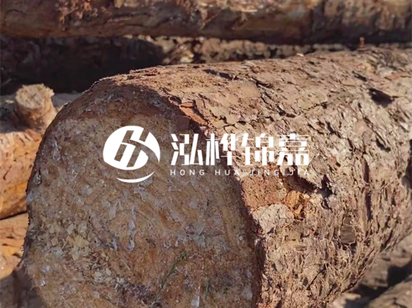 松木樁如何做到千年不腐的？松木樁打地基耐用年限揭秘