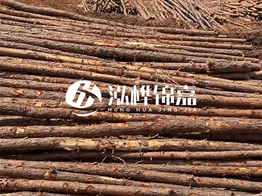 10公分的木材多少根為一方 - 4米10公分樹(shù)多少根為一方？