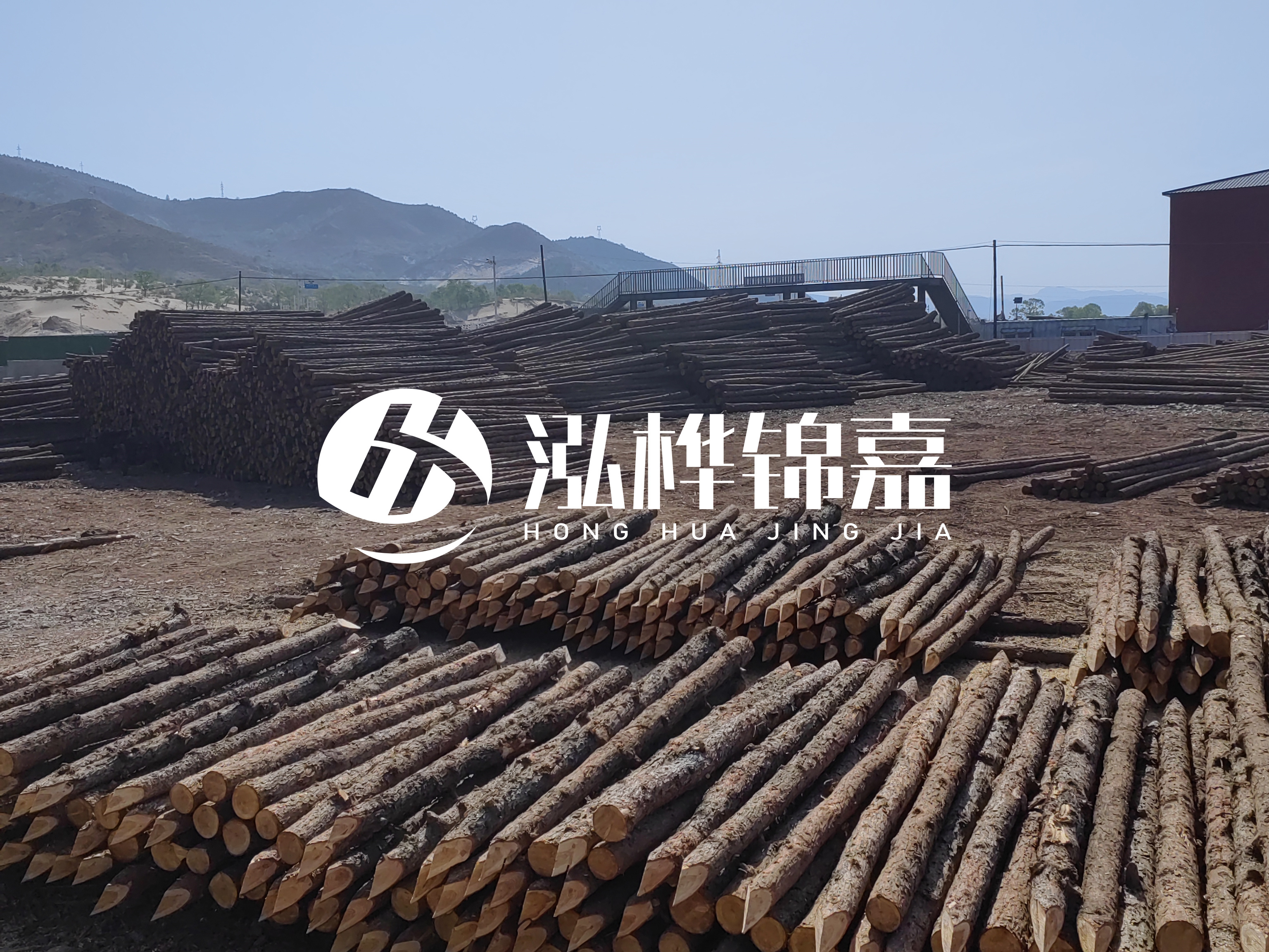 江蘇打樁木源頭廠(chǎng)家泓樺錦嘉-4米打樁木大頭14-16小頭一般多少？