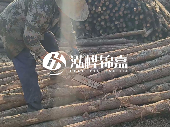 廣東打樁木源頭廠(chǎng)家泓樺錦嘉 - 如何選擇適合特定邊坡的松木樁？