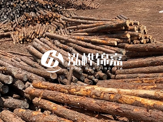 浙江打樁木源頭廠(chǎng)家泓樺錦嘉-松木廠(chǎng)家批發(fā)電話(huà)地址？