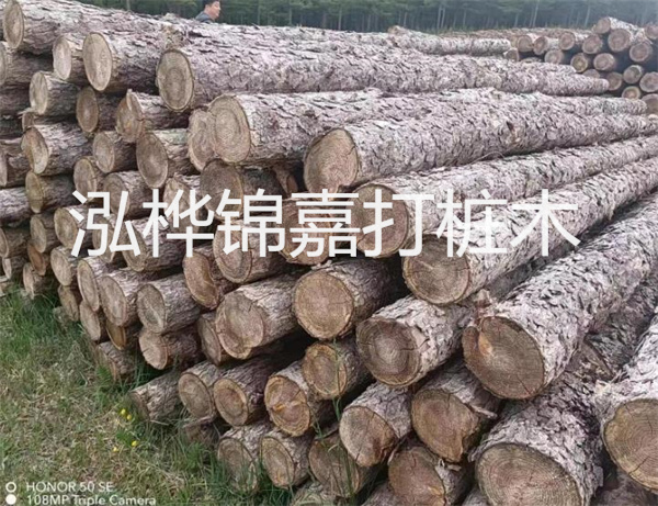 高效修補，保駕護航！水泥路面高強度修補料為您解決煩惱！