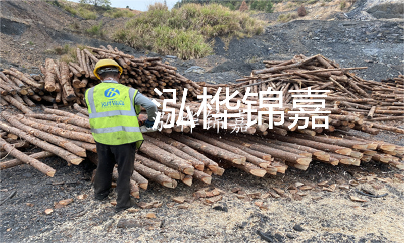 打松木樁機的種類(lèi)有哪些