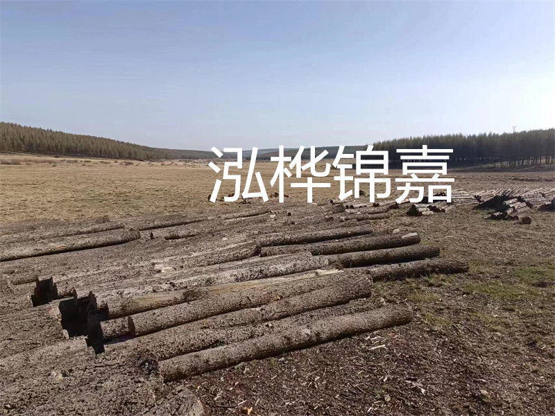 鄂州松木樁哪里好？推薦泓樺錦嘉松木樁業(yè)！