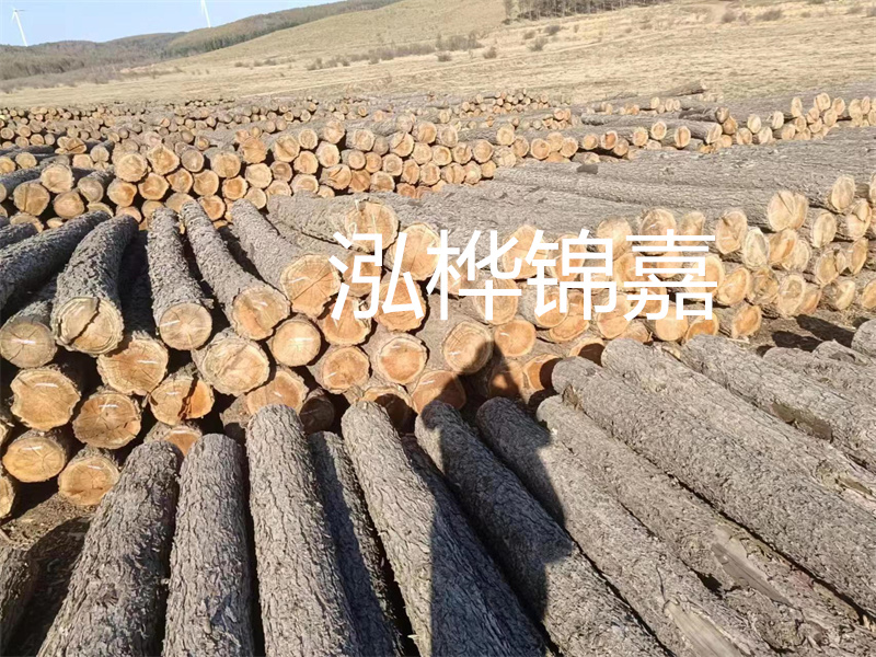 松木樁在哪里買(mǎi)？這里是最佳選擇！